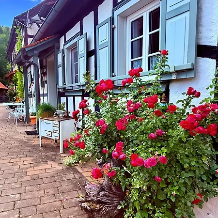 Sylvia * Buttenheim